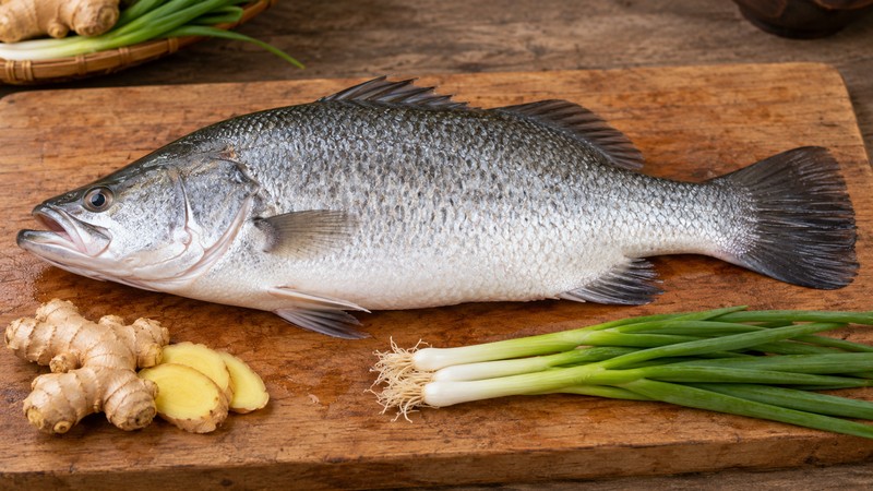 Whole cleaned barramundi beside ginger and scallions